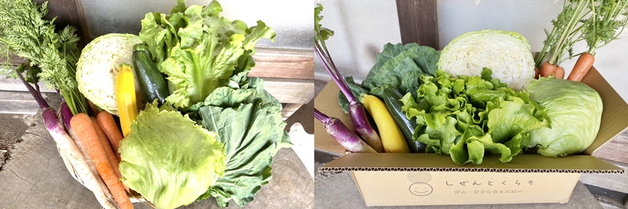 野菜セット