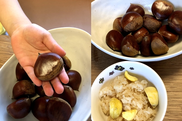 美味しい栗ご飯