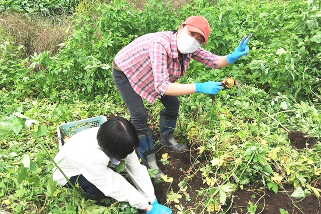 農薬・化学肥料を使わない農業・翔栄ファーム