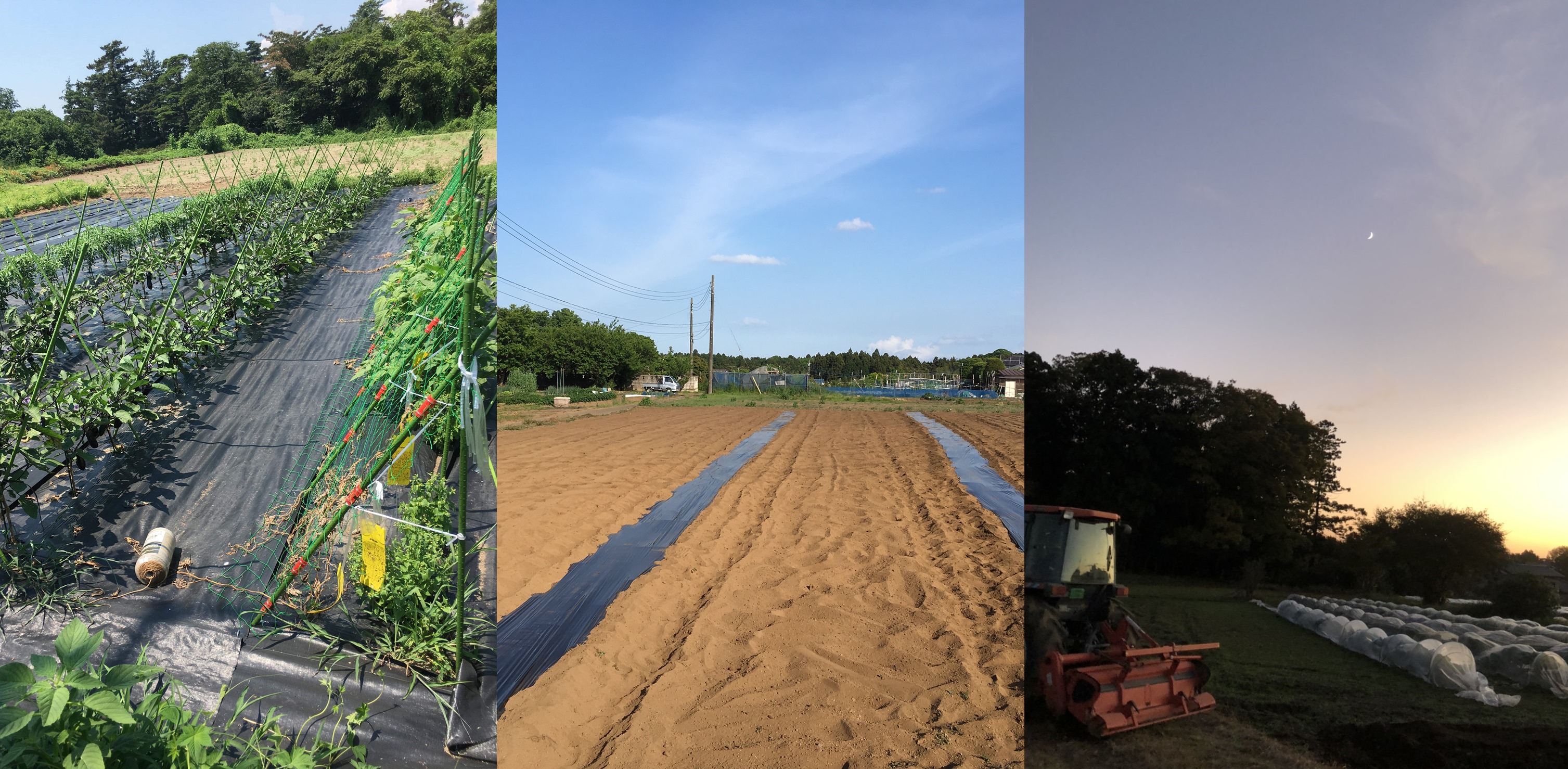 farmSet