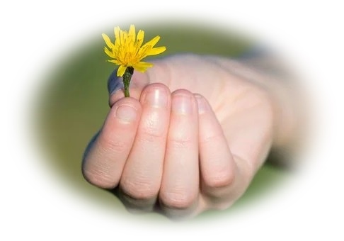 hand